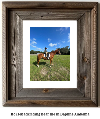 horseback riding near me in Daphne, Alabama